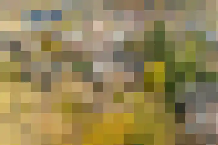 Stationsweg 6 Terborg thumbnail 43