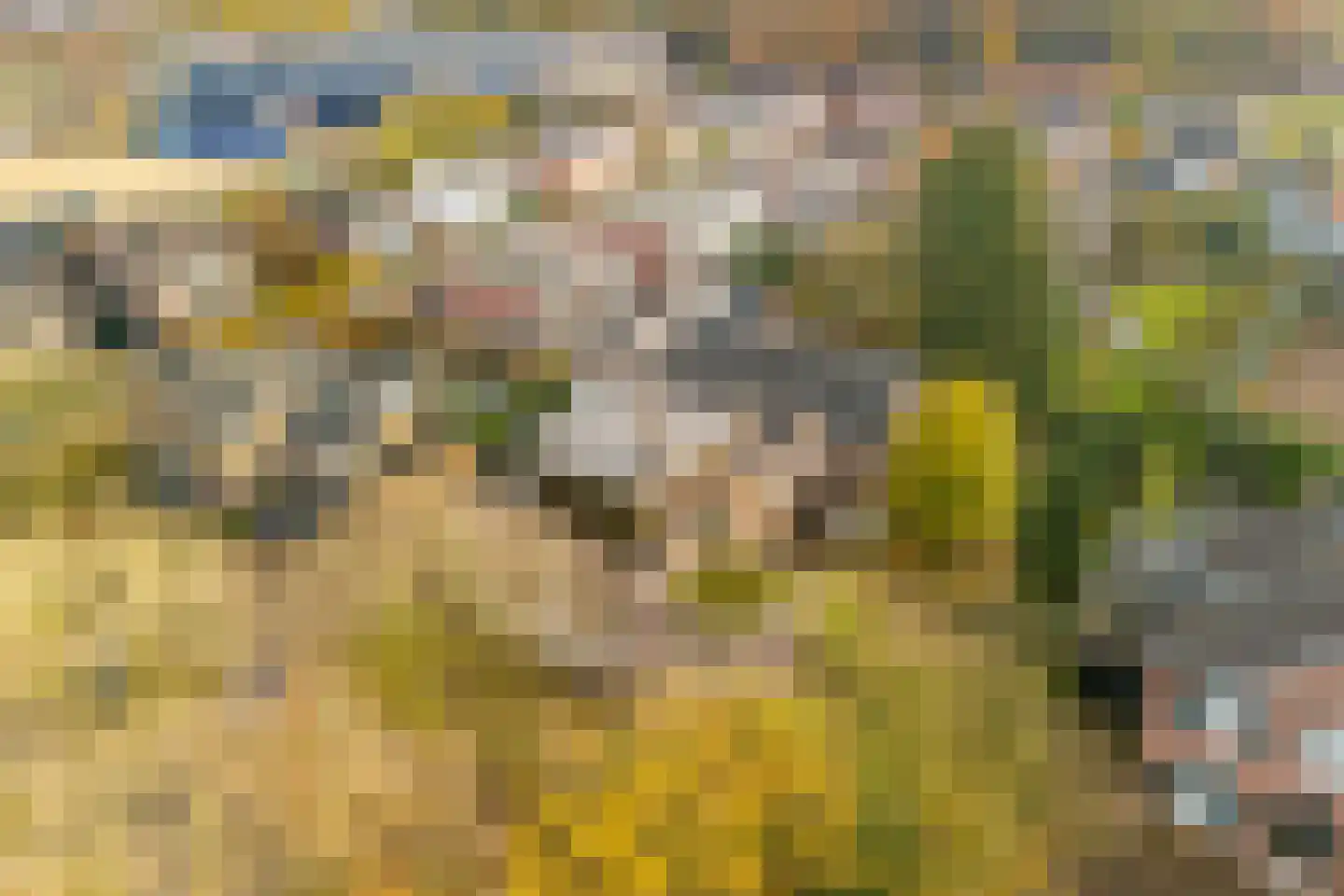 Stationsweg 6 Terborg thumbnail 43