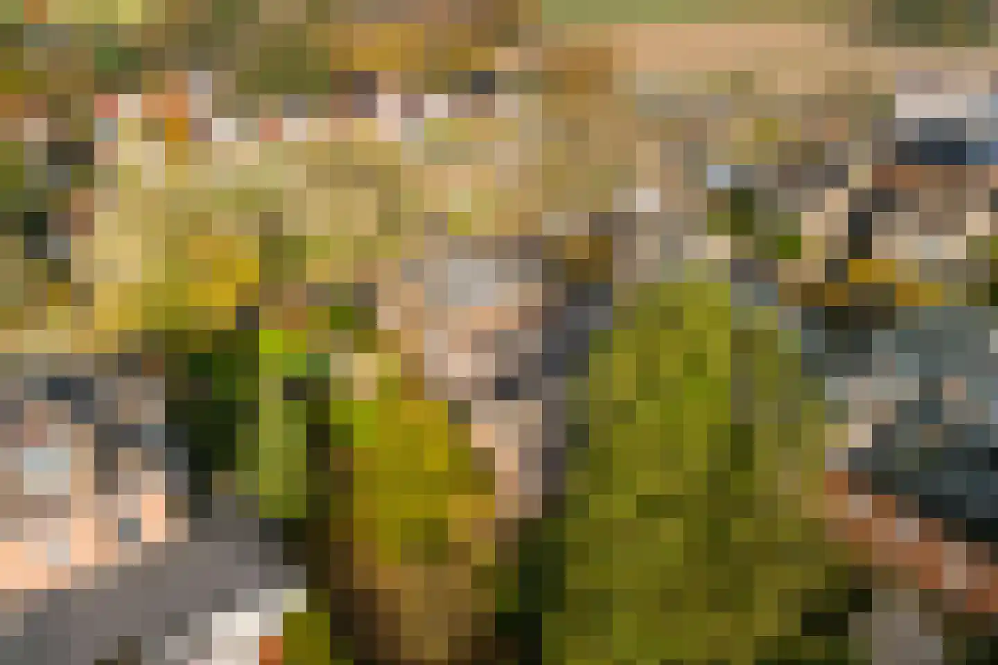Stationsweg 6 Terborg thumbnail 44