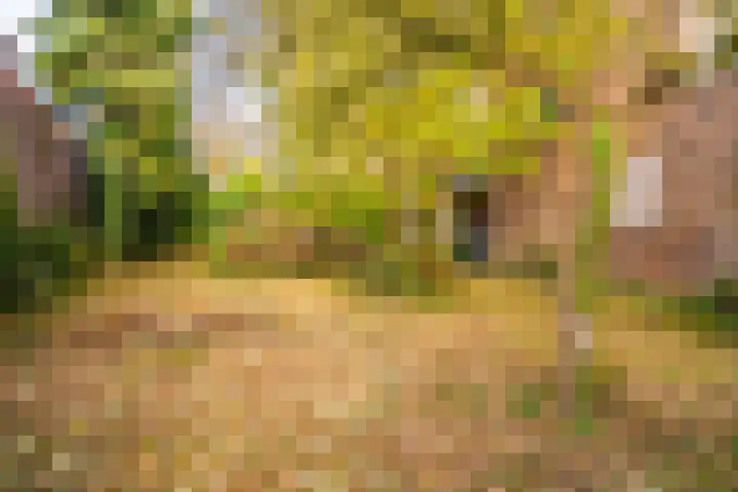 Stationsweg 6 Terborg thumbnail 44