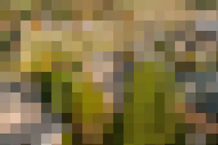 Stationsweg 6 Terborg thumbnail 44