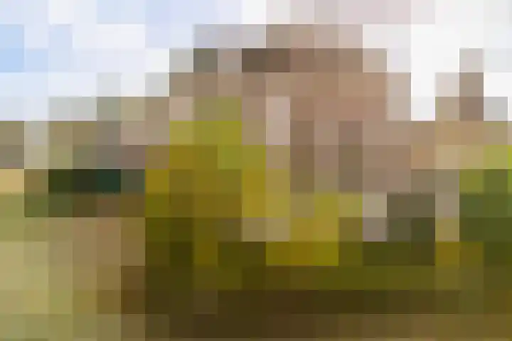 Stationsweg 6 Terborg thumbnail 46