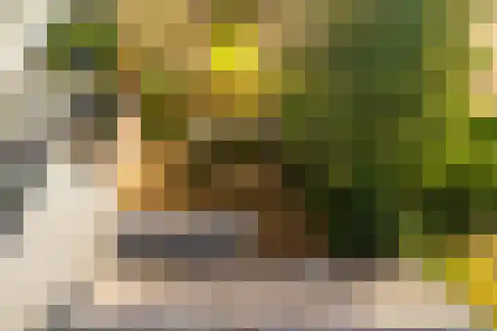 Stationsweg 6 Terborg thumbnail 48