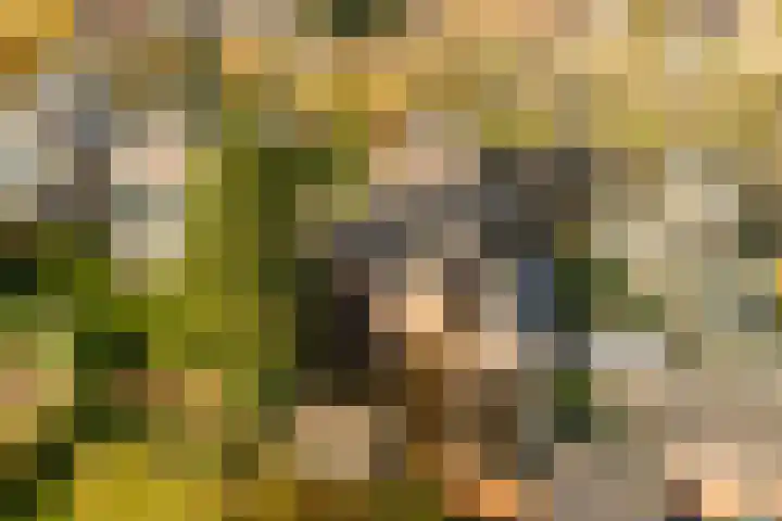 Stationsweg 6 Terborg thumbnail 52
