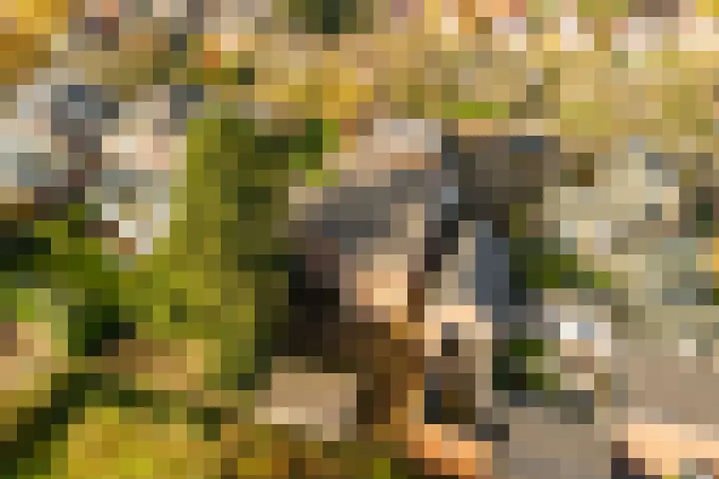 Stationsweg 6 Terborg thumbnail 52