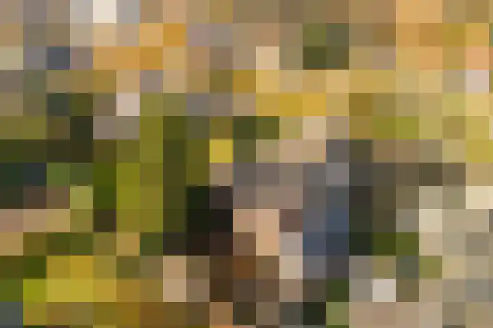 Stationsweg 6 Terborg thumbnail 53