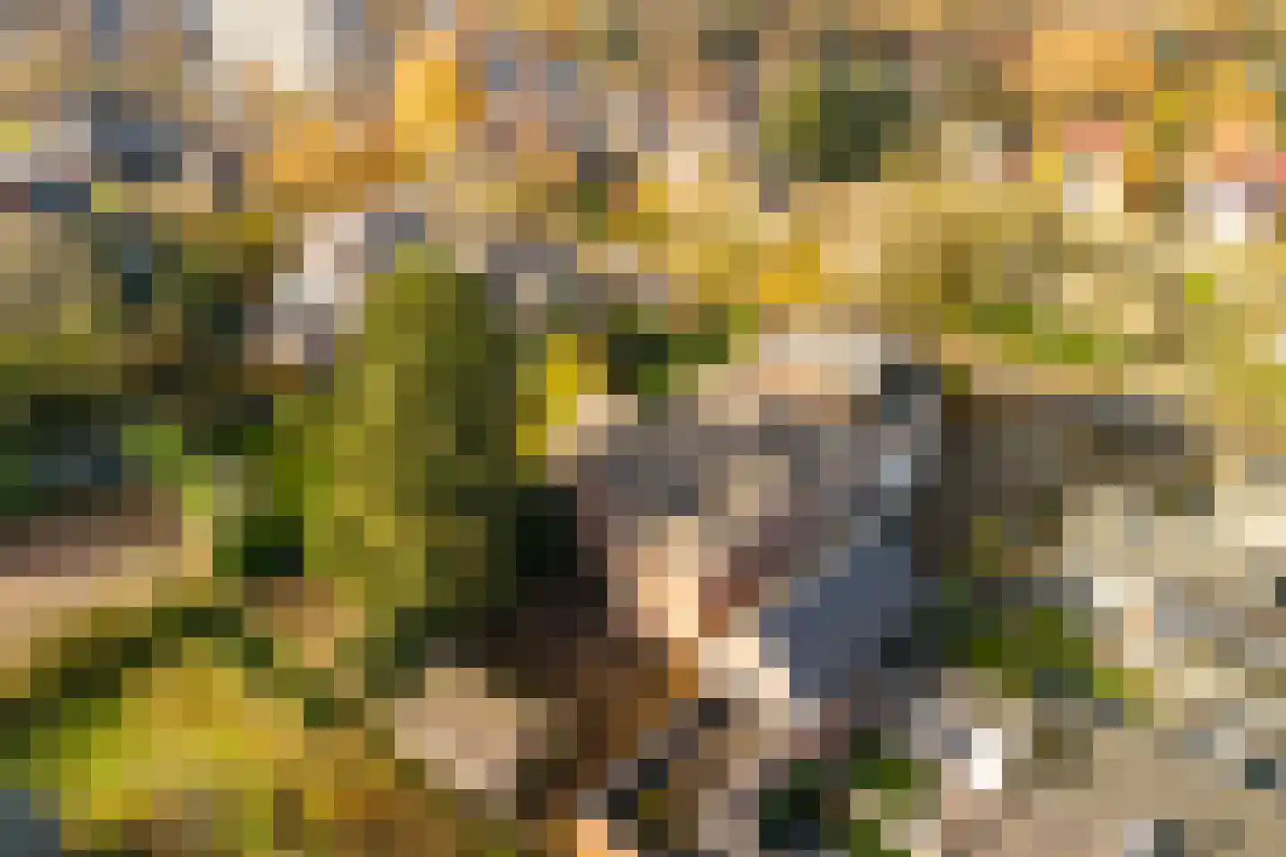 Stationsweg 6 Terborg thumbnail 53