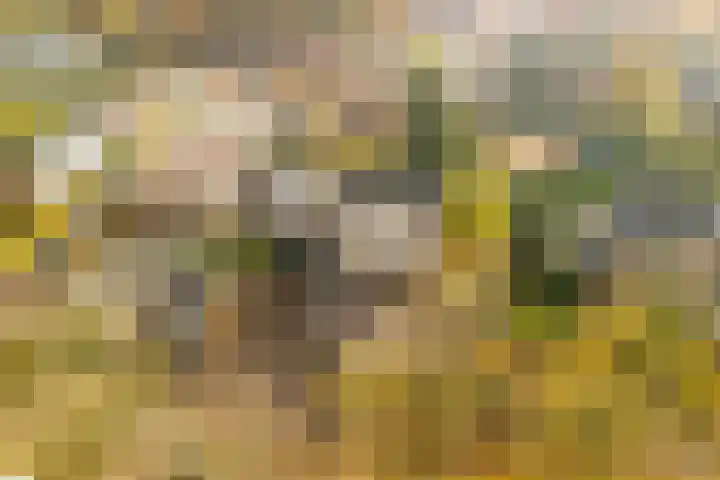 Stationsweg 6 Terborg thumbnail 54