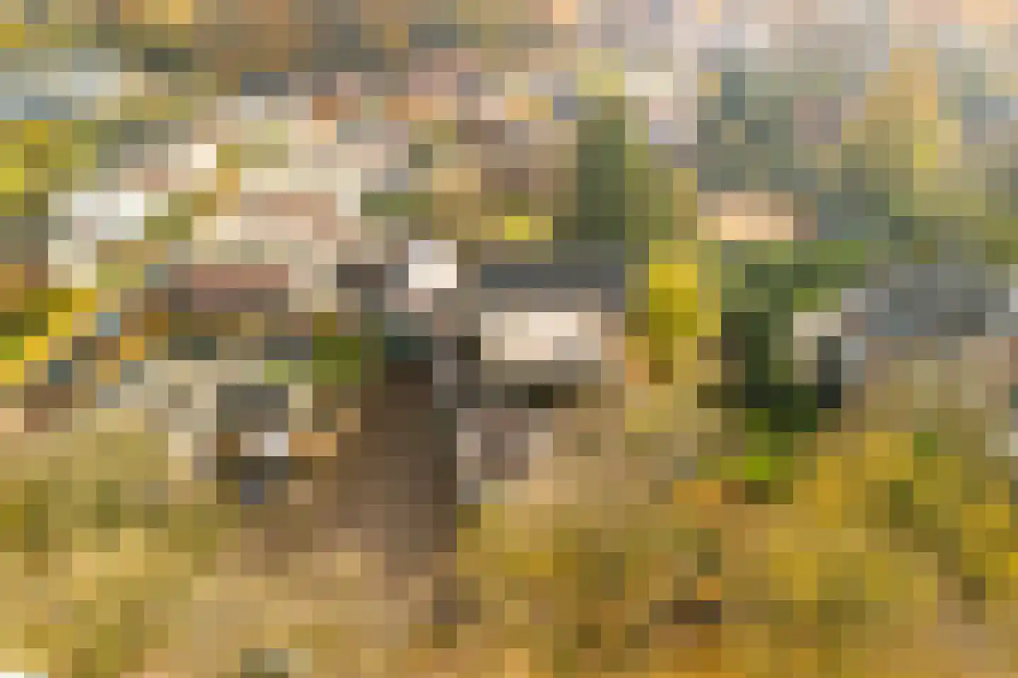 Stationsweg 6 Terborg thumbnail 54