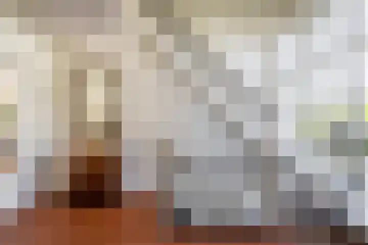 Stationsweg 61 Baarn thumbnail 22