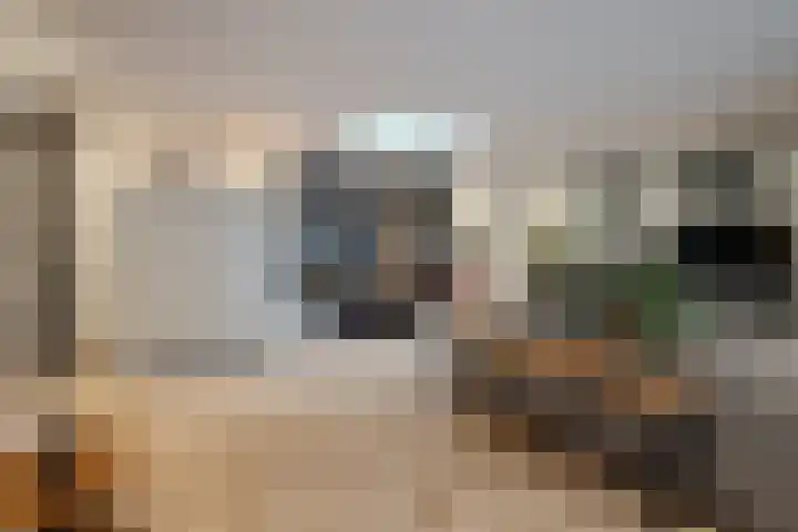 Stationsweg 61 Montfort thumbnail 13