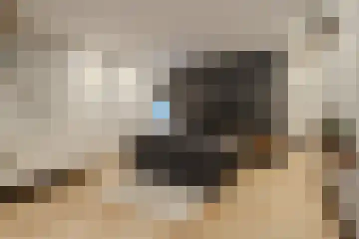 Stationsweg 61 Montfort thumbnail 20