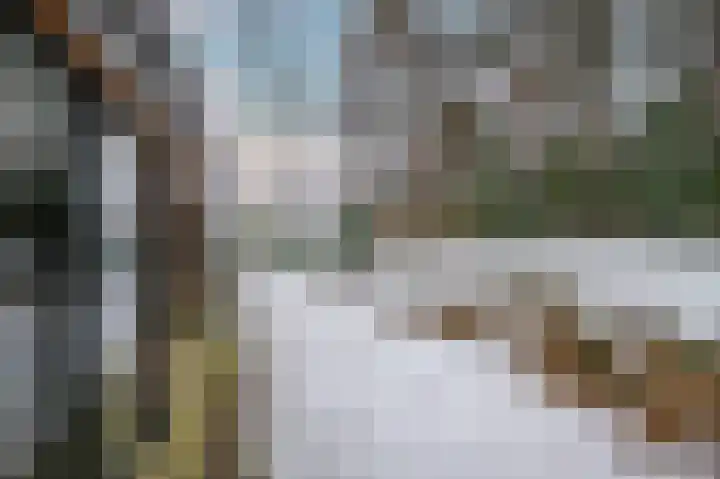 Stationsweg 61 Montfort thumbnail 34