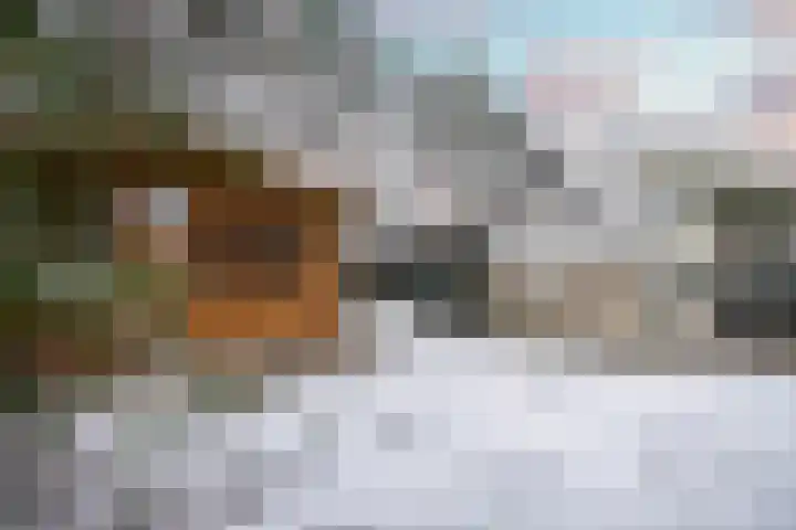 Stationsweg 61 Montfort thumbnail 35