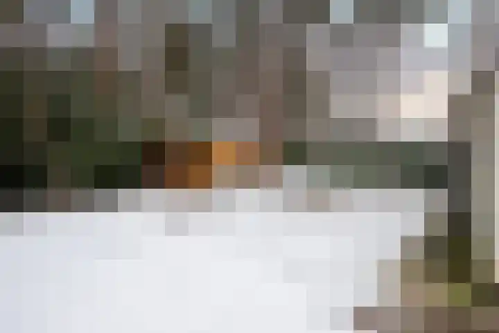 Stationsweg 61 Montfort thumbnail 36