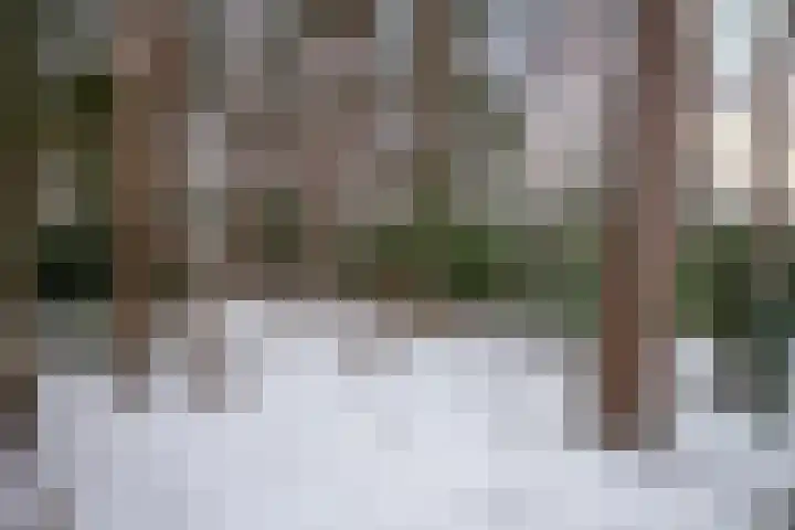 Stationsweg 61 Montfort thumbnail 38