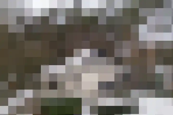 Stationsweg 61 Montfort thumbnail 43