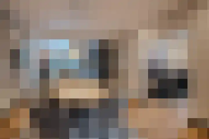 Stationsweg 61 Montfort thumbnail 7