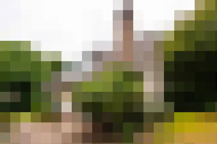 Stationsweg 63 Baarn thumbnail 27