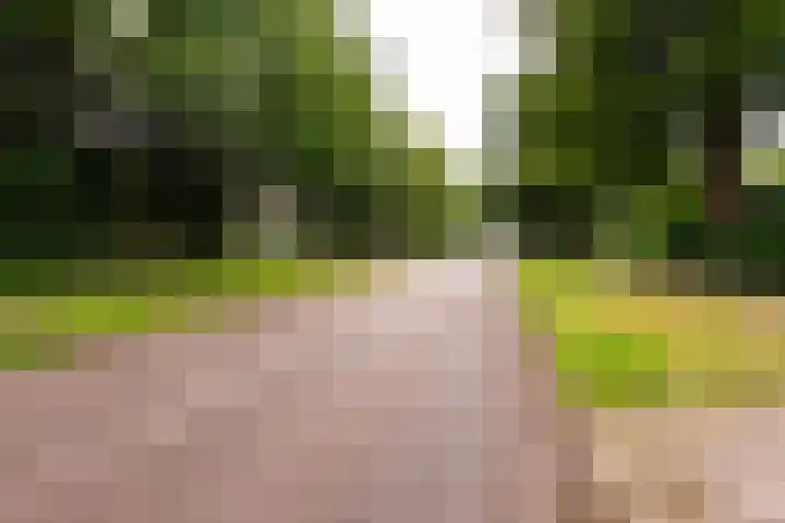 Stationsweg 63 Baarn thumbnail 38