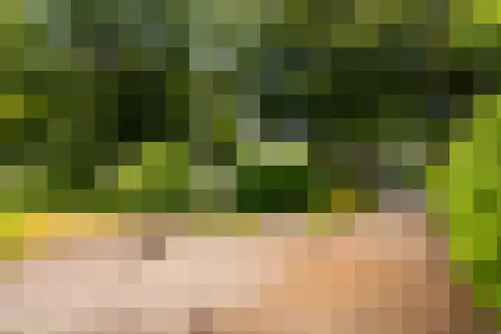 Stationsweg 63 Baarn thumbnail 4