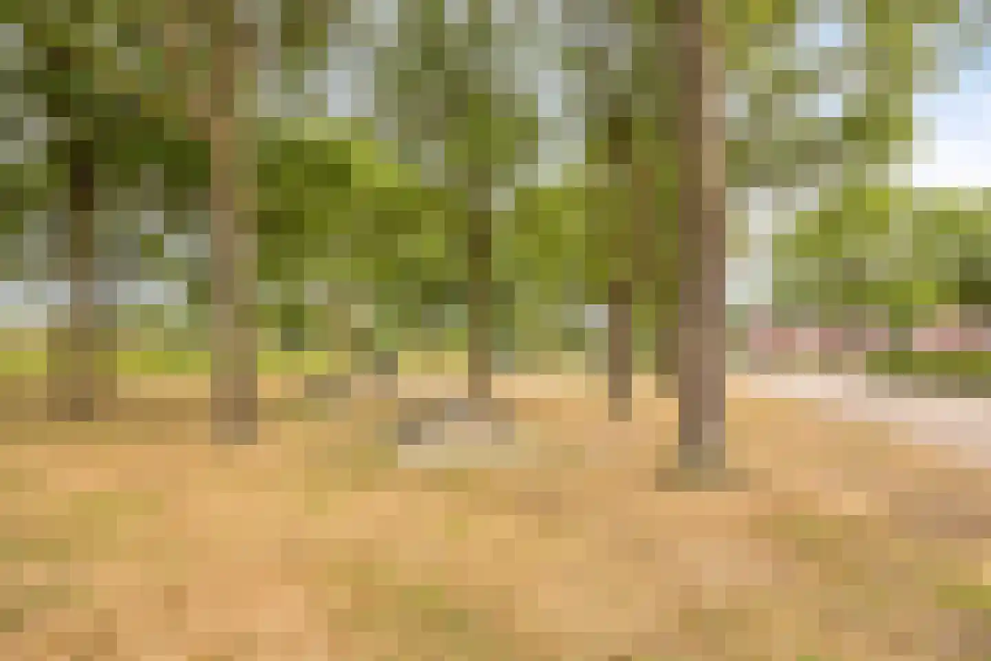 Stationsweg 67 Budel-Dorplein thumbnail 53