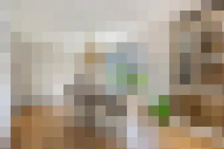 Stationsweg 67 Ede thumbnail 12