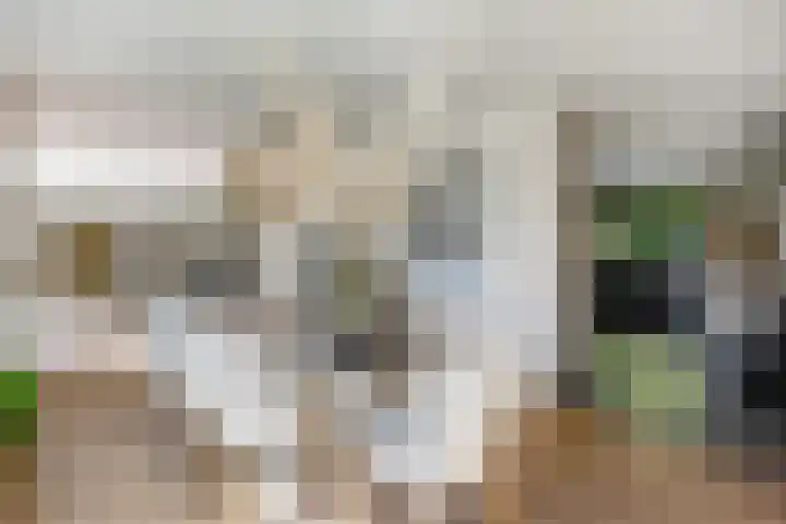 Stationsweg 67 Ede thumbnail 13