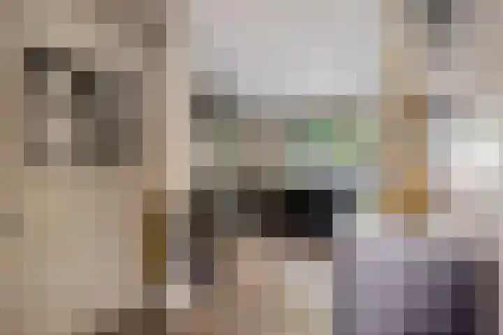Stationsweg 67 Ede thumbnail 14