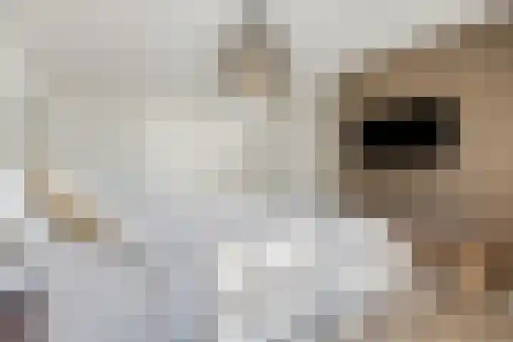 Stationsweg 67 Ede thumbnail 24