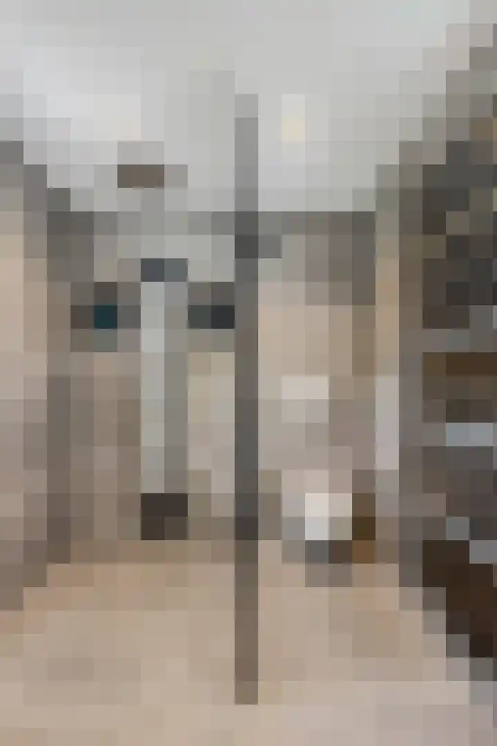 Stationsweg 67 Ede thumbnail 35