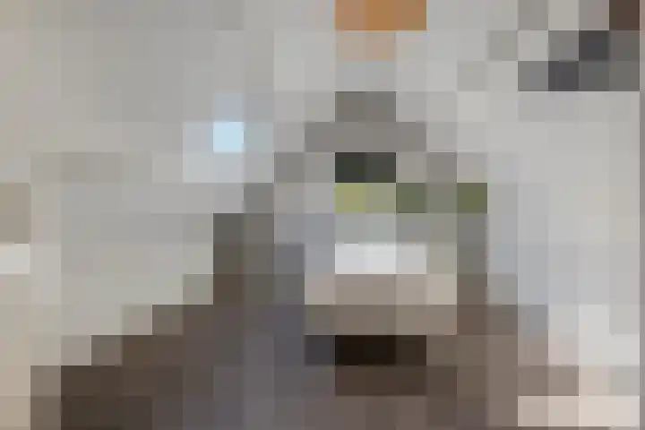 Stationsweg 67 Ede thumbnail 37