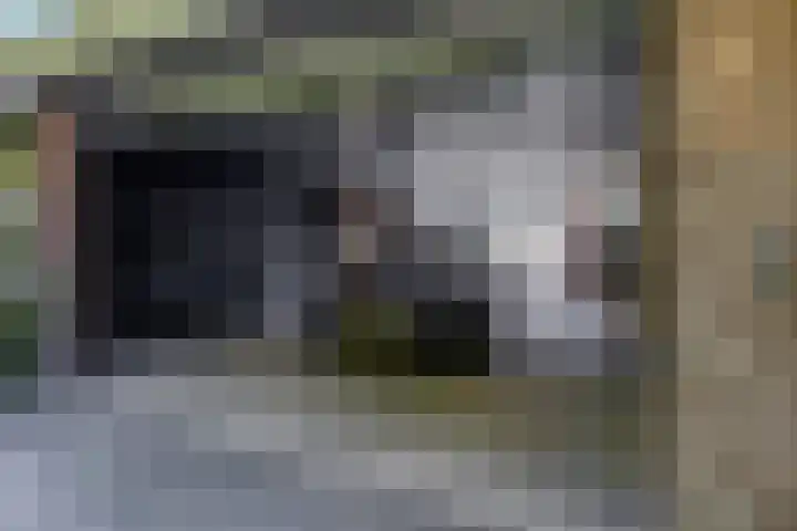 Stationsweg 67 Ede thumbnail 59