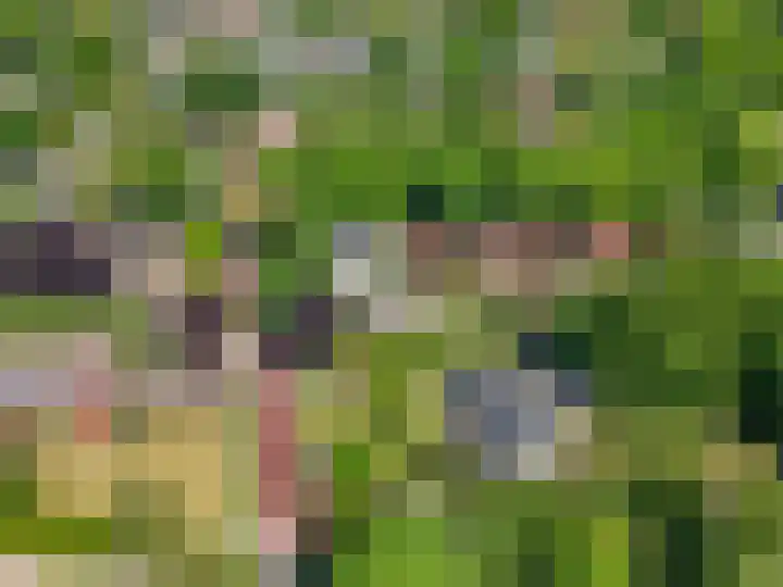 Stationsweg 67 Ede thumbnail 73
