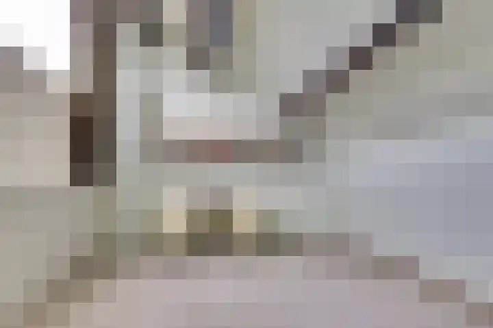 Stationsweg 67 Heerhugowaard thumbnail 28