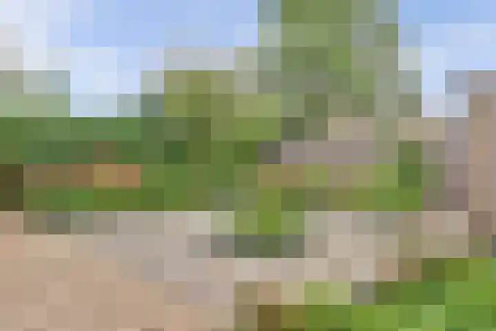 Stationsweg 67 Heerhugowaard thumbnail 35
