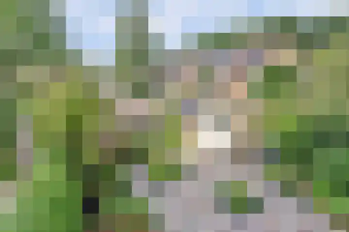 Stationsweg 67 Heerhugowaard thumbnail 36