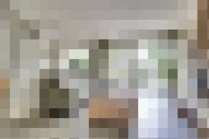 Stationsweg 67 Heerhugowaard thumbnail 6