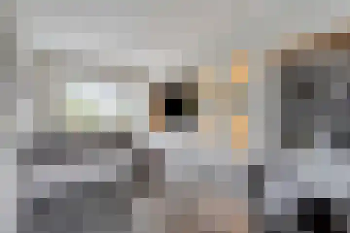 Stationsweg 67 Wezep thumbnail 10