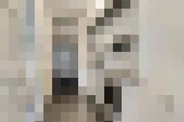 Stationsweg 67 Wezep thumbnail 12