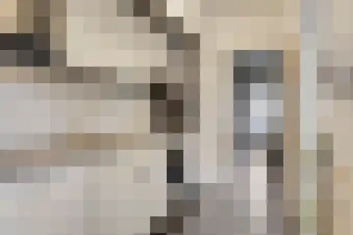 Stationsweg 67 Wezep thumbnail 14