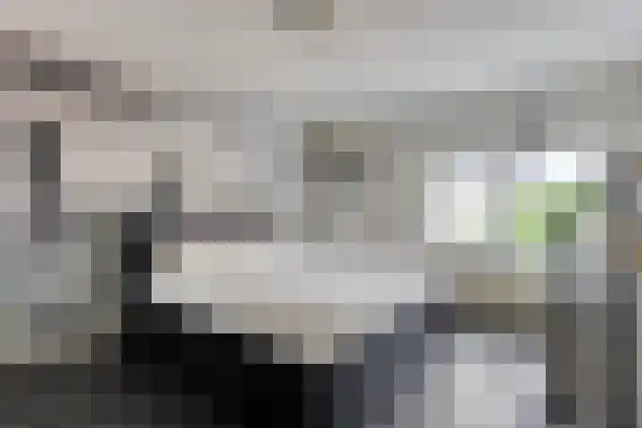 Stationsweg 67 Wezep thumbnail 20