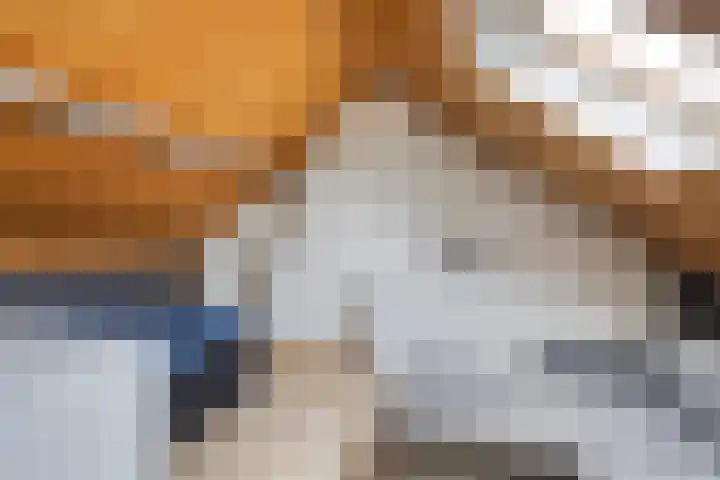 Stationsweg 67 Wezep thumbnail 32