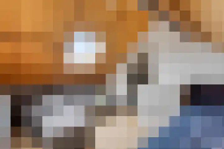 Stationsweg 67 Wezep thumbnail 33