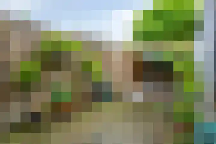 Stationsweg 67 Wezep thumbnail 34