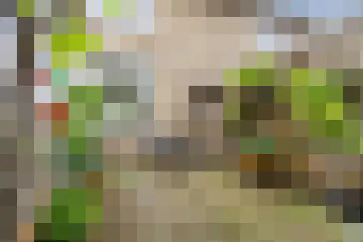 Stationsweg 67 Wezep thumbnail 35
