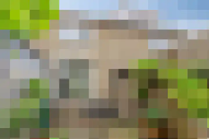 Stationsweg 67 Wezep thumbnail 36