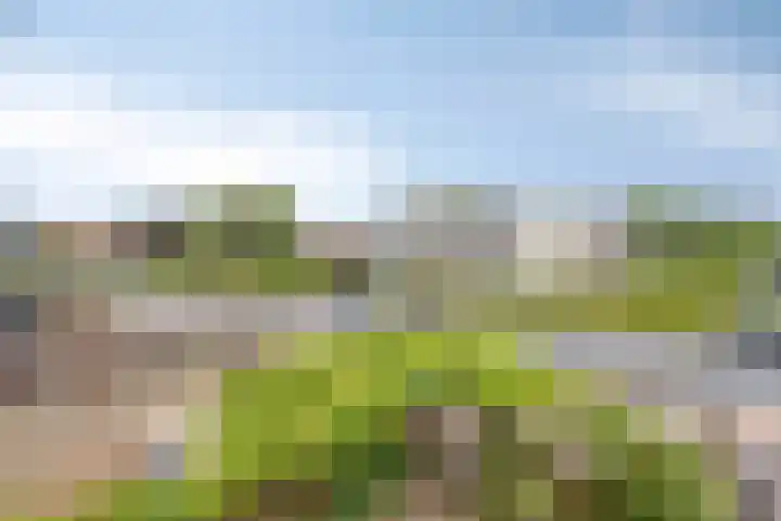 Stationsweg 67 Wezep thumbnail 38