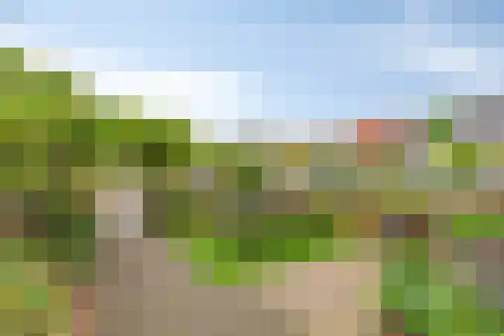 Stationsweg 67 Wezep thumbnail 39