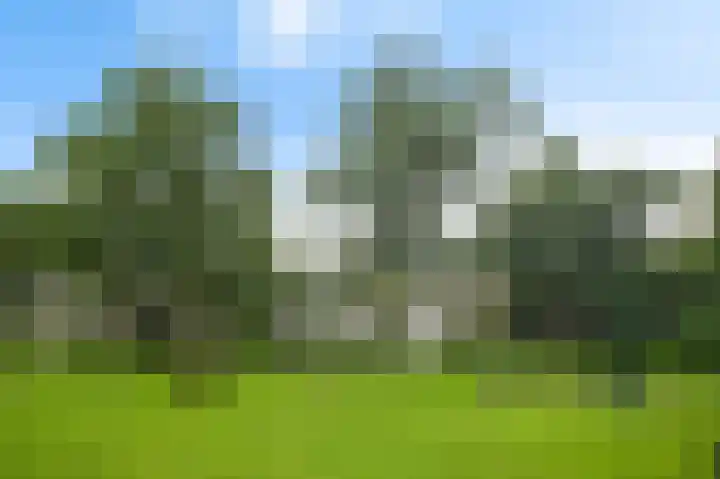 Stationsweg 68 Baarn thumbnail 22